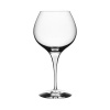 Orrefors Intermezzo Satin Bouquet Glass