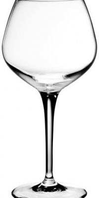 Bormioli Rocco Symposium Wine Bar Glass, Set of 4