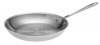 All-Clad Master Chef 2 12-Inch Fry Pan