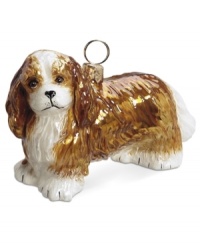Puppy love at first sight. Just begging for a home, this Cavalier King Charles Spaniel ornament is irresistible to animal lovers in hand-painted glass by Joy to the World. Puppy love at first sight. Just begging for a home, this Cavalier King Charles Spaniel ornament is irresistible to animal lovers in hand-painted glass by Joy to the World.
