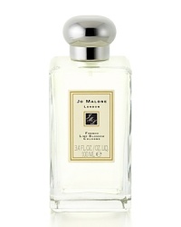 Inspired by a stroll along the Champs Élysées, French Lime Blossom is a romantic, full-bodied floral. The scent of sweet lime blossoms with a twist of bergamot and tarragon is evocative of the first day of spring. Inspired by a stroll along the Champs Élysées, French Lime Blossom is a romantic, full-bodied floral. The scent of sweet lime blossoms with a twist of bergamot and tarragon is evocative of the first day of spring.