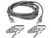 Belkin 100-Foot RJ45 CAT 5e Snagless Molded Patch Cable (Grey)