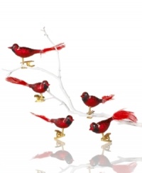 Five little birds in ruby-red glass with feathery tails fill your tree with shimmering vintage style. Perch these Kurt Adler ornaments anywhere, from the highest branch to your living room curtains, thanks to a clever clip-on design. Five little birds in ruby-red glass with feathery tails fill your tree with shimmering vintage style. Perch these Kurt Adler ornaments anywhere, from the highest branch to your living room curtains, thanks to a clever clip-on design.
