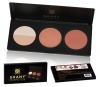 SHANY Cosmetics Amber Peach Contour and Blush Palette for Light and Medium Complexion, 11 Ounce