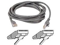 Belkin 100-Foot RJ45 CAT 5e Snagless Molded Patch Cable (Grey) Belkin 100-Foot RJ45 CAT 5e Snagless Molded Patch Cable (Grey)