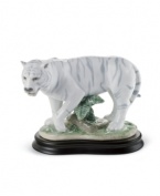Out of the wild, into your living room. An exceptionally rare and exotic white tiger stalks its prey in this artfully handcrafted porcelain figurine from Lladro.