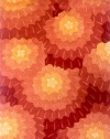Momeni New Wave Chinese Hand Tufted 5'-3-by-8'-0 Wool Rug NW-69 ORG000, Orange