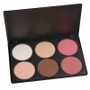 Coastal Scents Contour and Blush Palette