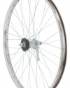 Avenir 36H Nutted Cruiser Style Rear Wheel with Coaster Brake (Silver, 26 x 1.75-Inch)