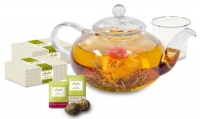 Primula Daisy Tea Pot with 24 Tea Flowers, 40-Ounce Primula Daisy Tea Pot with 24 Tea Flowers, 40-Ounce