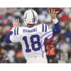 Steiner Sports NFL Indianapolis Colts Peyton Manning White Signed Jersey Throwing vs Bills 16-by-20-inch Signed Photograph