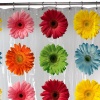 Maytex Gerbera Daisy PEVA Shower Curtain