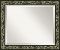 Green Provencal Scroll Medium Mirror in Antique Dark Bronze Rococo Green Provencal Scroll Medium Mirror in Antique Dark Bronze Rococo