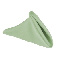 17 in. Polyester Napkins (1dz) Sage 17 in. Polyester Napkins (1dz) Sage
