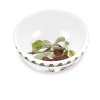 Portmeirion Pomona Individual Fruit Salad Bowl Set of 6