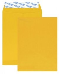 Columbian Brown Kraft 9 x 12 Inch Catalog Grip-Seal Closure Envelopes 100 Count (CO922) Columbian Brown Kraft 9 x 12 Inch Catalog Grip-Seal Closure Envelopes 100 Count (CO922)
