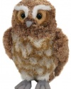 Ty Beanie Baby Gylfie - Guardians of Ga'Hoole owl