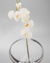 Nambe Globe Bud Vase with Silk Orchid, 8-Inch High by 9-Inch Width