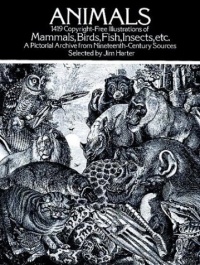 Animals: 1,419 Copyright-Free Illustrations of Mammals, Birds, Fish, Insects, etc (Dover Pictorial Archive) Animals: 1,419 Copyright-Free Illustrations of Mammals, Birds, Fish, Insects, etc (Dover Pictorial Archive)