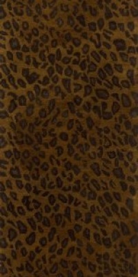 Area Rug 2x8 Runner Animal Inspirations Cheetah Color - Momeni Serengeti Rug from RugPal Area Rug 2x8 Runner Animal Inspirations Cheetah Color - Momeni Serengeti Rug from RugPal