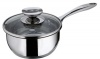 Berndes Cucinare Induction 1.7-Quart Saucepan