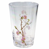 Corelle Coordinates Cherry Blossom 8-Ounce Acrylic Glass, Set of 6