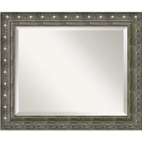 Barcelona Medium Mirror in Champagne and Pewter Barcelona Medium Mirror in Champagne and Pewter