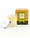 Agraria's 3.4 oz. Crystal Cane Candles are presented in an exquisite package that makes a grand impression. These beautifully luminous, fragrant, and clean burning candles are a special blend of vegetable-based premium soft waxes. Bright and brisk, Lemon Verbena evokes the fresh, clear exuberance of lemon-scented verbena leaves, enhanced with a touch of Caribbean lime and hints of rose and jasmine. Includes a decorative lid. Burn time is approximately 20-25 hours.