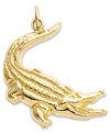 Add a little bite! This fierce-looking alligator charm makes a lively addition to any charm bracelet or necklace. Crafted in 14k gold. Chain not included. Approximate length: 1-1/5 inches. Approximate width: 9/10 inch.