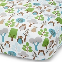 Wide-eyed owls scatter among leafy trees in shades of soft blue, green, brown and grey on a light blue background.The American Academy of Pediatrics and the U.S. Consumer Product Safety Commission have made recommendations for safe bedding practices for babies. When putting infants under 12 months to sleep, remove pillows, quilts, comforters, and other soft items from the crib. Wide-eyed owls scatter among leafy trees in shades of soft blue, green, brown and grey on a light blue background.The American Academy of Pediatrics and the U.S. Consumer Product Safety Commission have made recommendations for safe bedding practices for babies. When putting infants under 12 months to sleep, remove pillows, quilts, comforters, and other soft items from the crib.