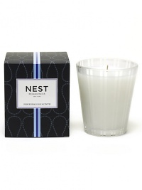 Periwinkle, hyacinth, and lilac are combined with crisp green leaves and cloves. Approximate burn time, 50 hours. 8.1 oz. Periwinkle, hyacinth, and lilac are combined with crisp green leaves and cloves. Approximate burn time, 50 hours. 8.1 oz.