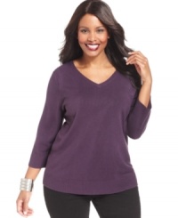 Stock up on the classic style of Debbie Morgan's plus size V-neck sweater-- snag one in every color! Stock up on the classic style of Debbie Morgan's plus size V-neck sweater-- snag one in every color!