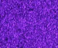 Zink Color Multi Purpose Glitter Brilliance Pro Purple Zink Color Multi Purpose Glitter Brilliance Pro Purple