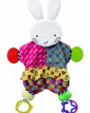 Amazing Baby: Blanket Teether Bunny by Kids Preferred