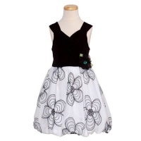 Bonnie Jean Girls 7-16 Bodice Sheer Skirt With Embroidered Flowers Bonnie Jean Girls 7-16 Bodice Sheer Skirt With Embroidered Flowers