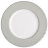 Encircled by scallops and cascading platinum dots, Dentelle brings to mind the exquisitely finished hems of Moniques couture bridal gowns. An accent plate with a full border in soft pearlescent gray casts a subtle shimmer. The refined border design, together with its modern color palette and finish, make this pattern as versatile as it is beautiful.