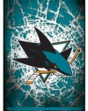 NHL San Jose Sharks Iphone 4 or 4s Hard Cover Case