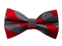 100% Silk Woven Red and Gray Striped Self-Tie Bow Tie