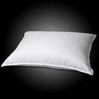 Blue Ridge Home 500 Thread Count Medallion White Down Pillow 122379 Jumbo Blue Ridge Home 500 Thread Count Medallion White Down Pillow 122379 Jumbo