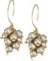 Anne Klein Sorbet Gold-Tone Champagne Pearl and Crystal Eurowire Drop Earrings