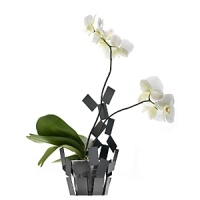 Designed by Mario Trimarchi for Alessi, this airy vase cover was created to chicly house orchids, providing support for the stems and water through transparent tubes.