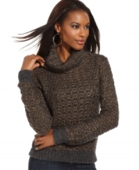 Allover metallic details add high-shine to this RACHEL Rachel Roy turtleneck sweater for hot cold-weather style! Allover metallic details add high-shine to this RACHEL Rachel Roy turtleneck sweater for hot cold-weather style!