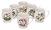 Portmeirion Botanic Garden Bristol Mug, Set of 6