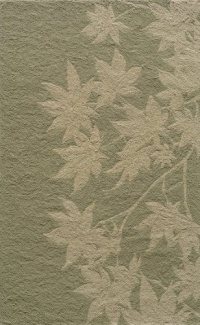 Momeni Veranda VERANVR-17SAG80A0 Sage Rug Momeni Veranda VERANVR-17SAG80A0 Sage Rug