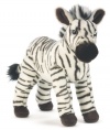 Webkinz Endangered Signature Cape Mountain Zebra