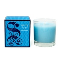 Blue hydrangea and Casablanca lily are combined with the bold essence of Persian melon and fresh aquatic notes. Classic Candle burns approximately 45 hours. Blue hydrangea and Casablanca lily are combined with the bold essence of Persian melon and fresh aquatic notes. Classic Candle burns approximately 45 hours.