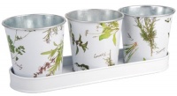 Esschert Design Herb Print Galvanized Steel Flower Pots with Saucer, Set of 3 Esschert Design Herb Print Galvanized Steel Flower Pots with Saucer, Set of 3