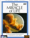 NOVA - The Miracle of Life