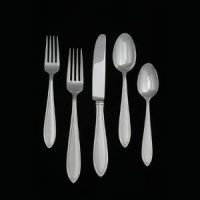 India Stainless 5 Piece Place Setting