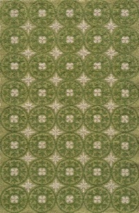 Area Rug 5x8 Rectangle Transitional Grass Color - Momeni Veranda Rug from RugPal Area Rug 5x8 Rectangle Transitional Grass Color - Momeni Veranda Rug from RugPal